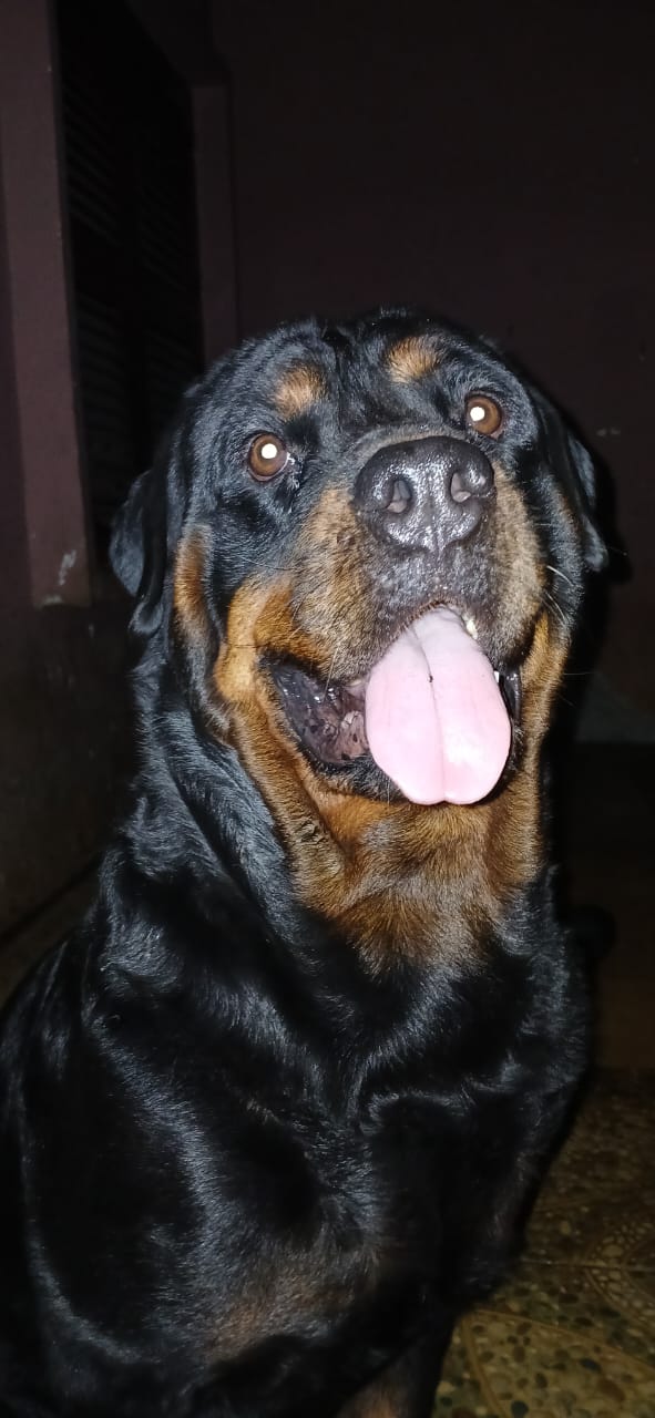 Lulu